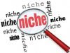 niche-business