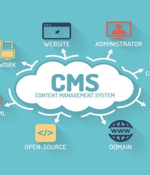 Les avantages de choisir un CMS